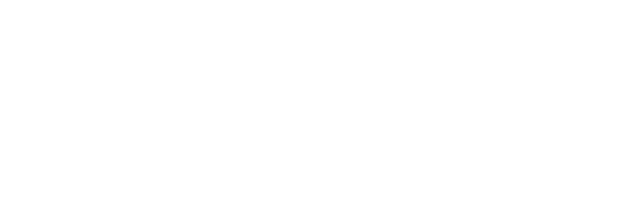 Polymers Seals Solutions